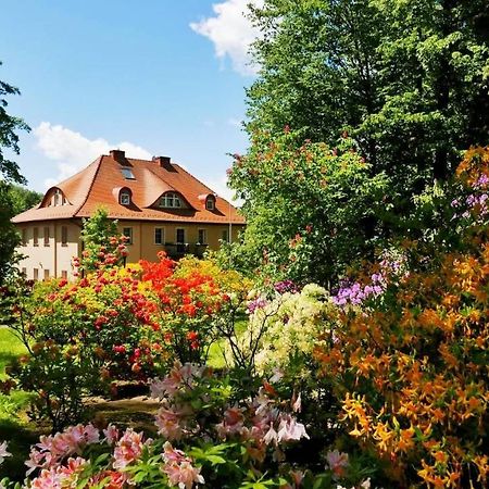 Rezydencja Grawert Boutique & Spa Lądek-Zdrój エクステリア 写真